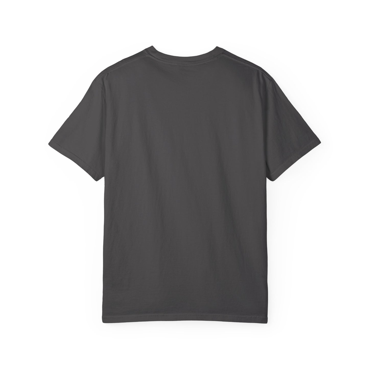 Walking in Authority T-Shirt