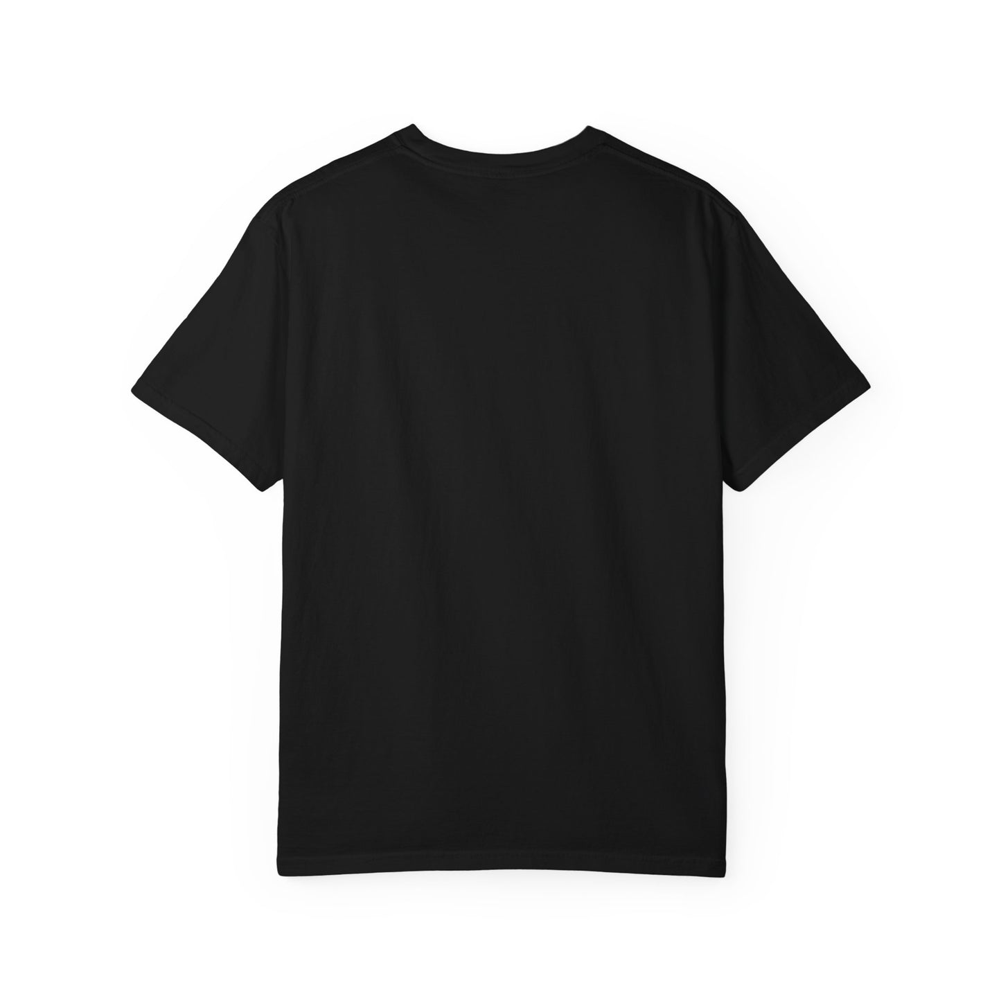 Walking in Authority T-Shirt